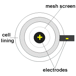 iron cathode reaction